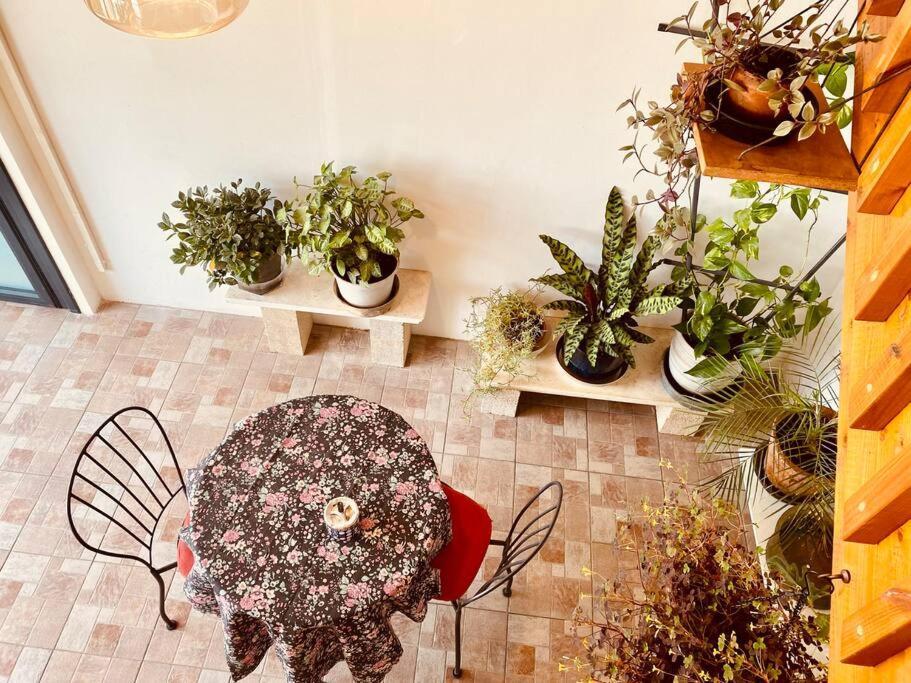 Ferienwohnung קומותיים ברמה Sha'al Exterior foto