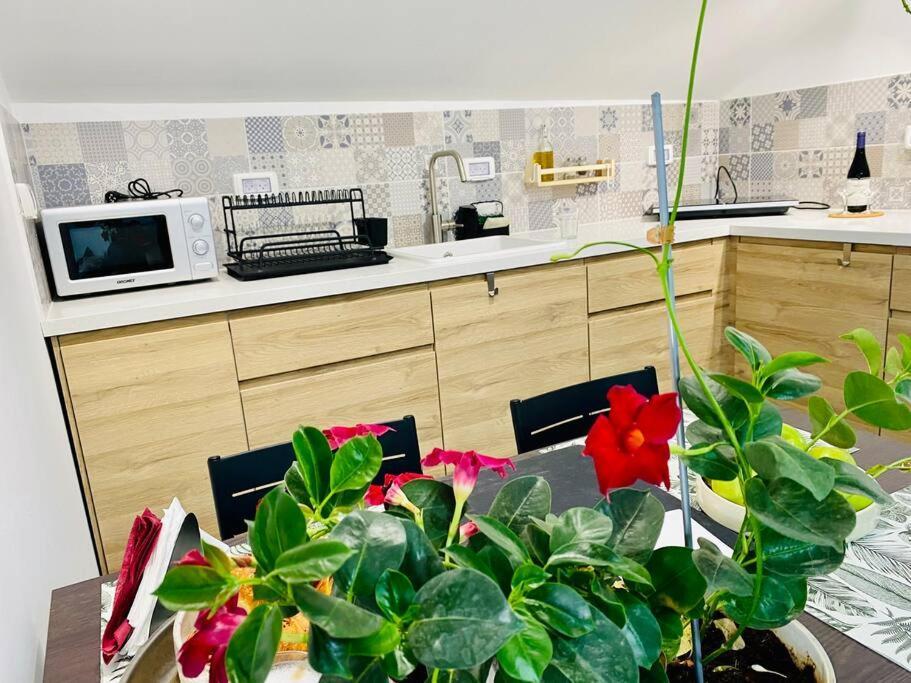 Ferienwohnung קומותיים ברמה Sha'al Exterior foto